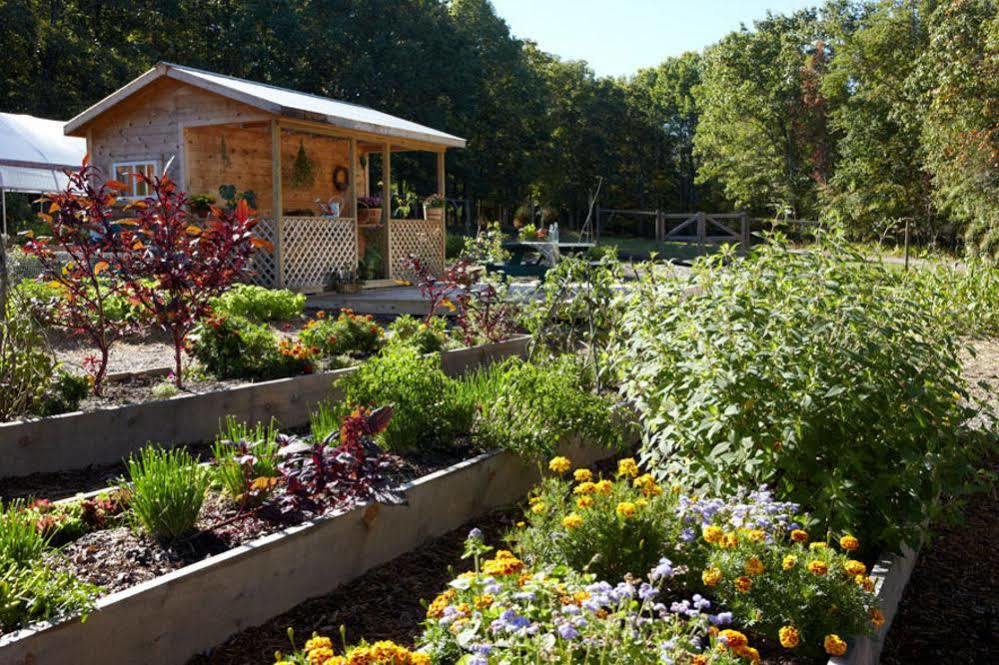 Hawley The Lodge At Woodloch מראה חיצוני תמונה